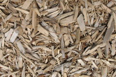 biomass boilers Pentrapeod