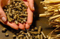 free Pentrapeod biomass boiler quotes